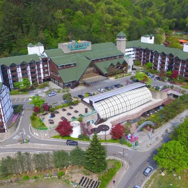 Osaek Greenyard Hotel, hotel v destinaci Jangjang