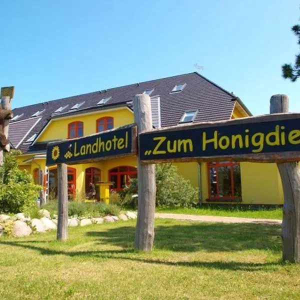 Landhotel zum Honigdieb, hotel en Ribnitz-Damgarten