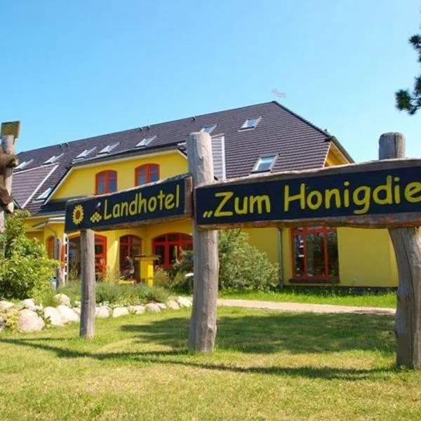 Landhotel zum Honigdieb, hotel v destinaci Ribnitz-Damgarten
