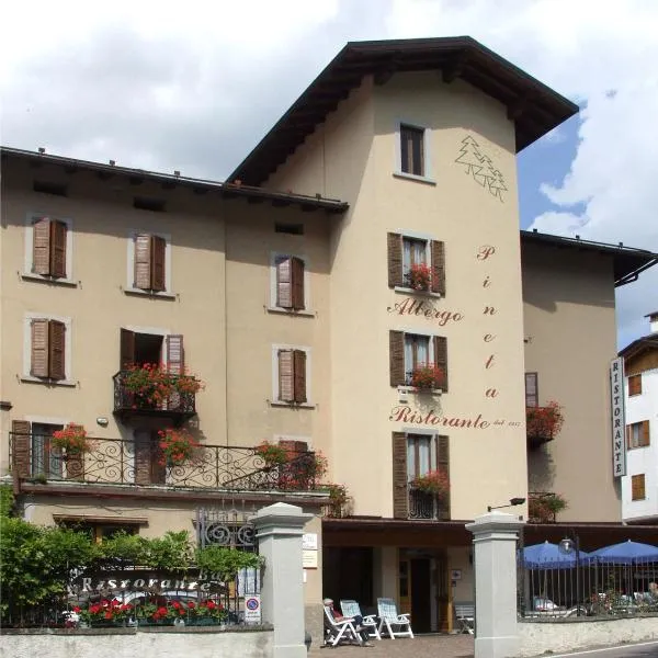 Albergo Pineta, hotel en Schilpario