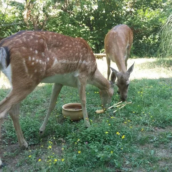 Cascina Bricco, hotell i Ovada