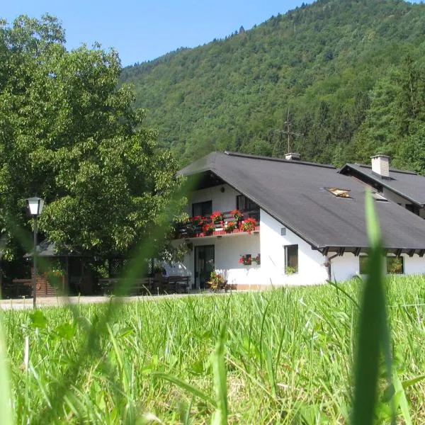 Guest House Atelšek, hotel in Šmihel nad Mozirjem