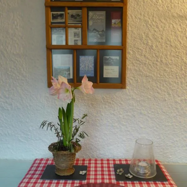 Pension Alpina, hotel v destinaci Lenk