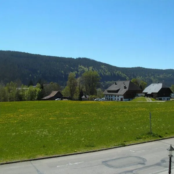 Hotel Rheingold Garni, hotel v destinaci Titisee-Neustadt