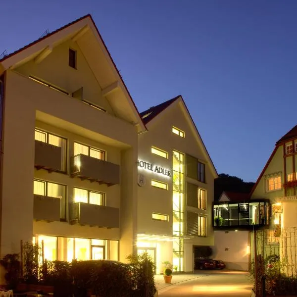 Hotel Adler, hotel v destinaci Nagold