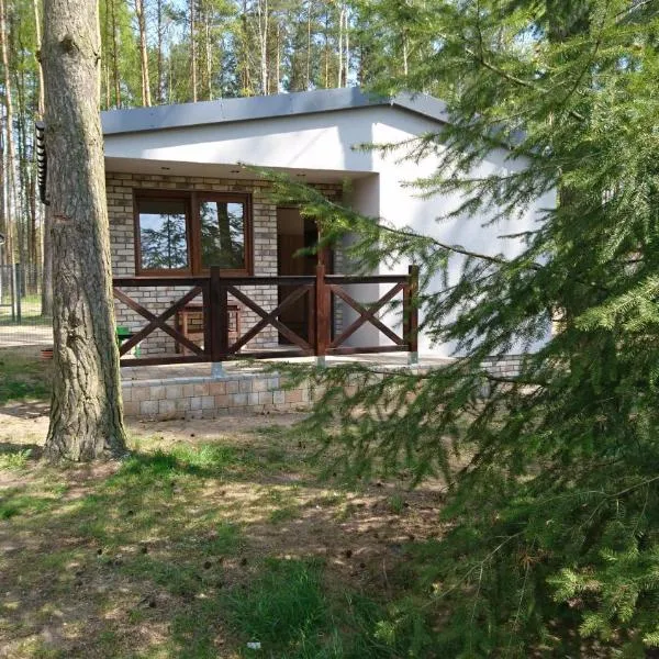 Domek letniskowy SZWED-POL, hotel di Kujan