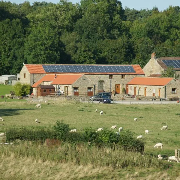 Rawcliffe House Farm Studios, Peaceful North York Moors Retreat, hotel in Pickering