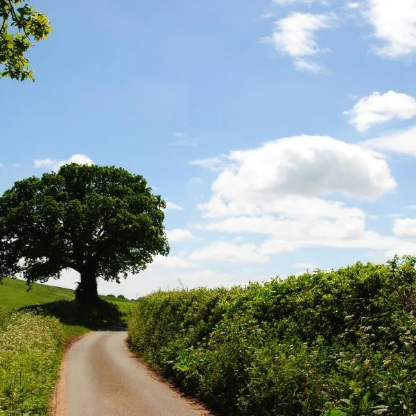 Blue Water Breaks - Dawlish Warren, hotel din Dawlish