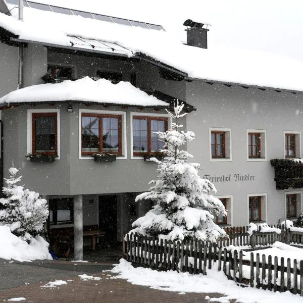 Ferienhof Rindler, хотел в Sankt Johann im Walde