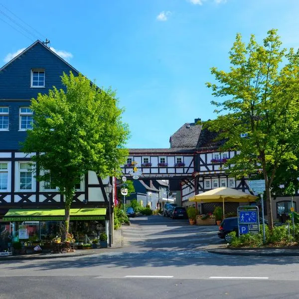 Hotel Gasthof Koch, hotel in Niederdreisbach