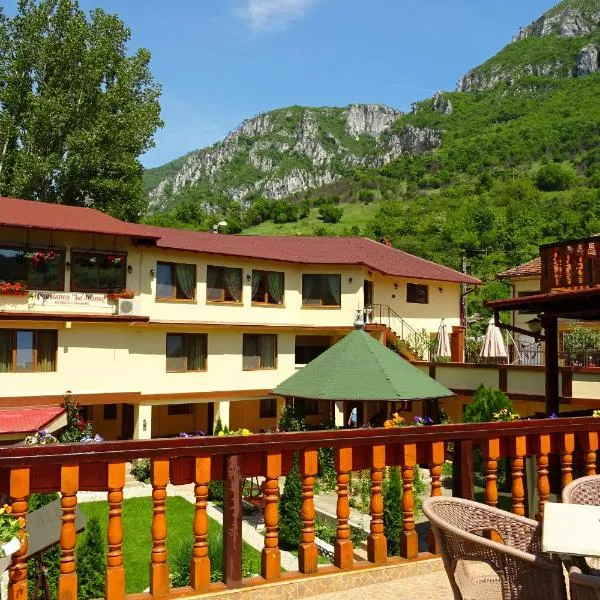Pension Cuibul Viselor, hotel in Băile Herculane