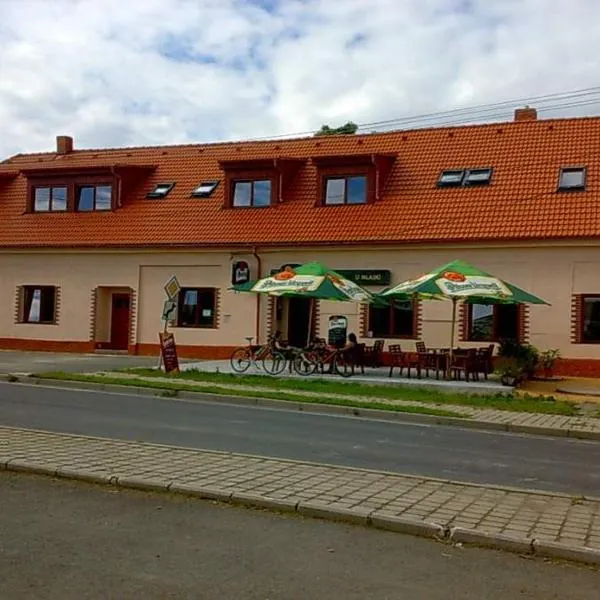 Penzion U Hladů, hotel in Hracholusky