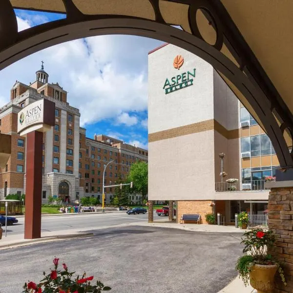 Aspen Suites - Rochester, hotel en Stewartville