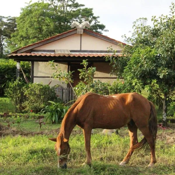 Finca Lindos Ojos, hotell i Rodeo