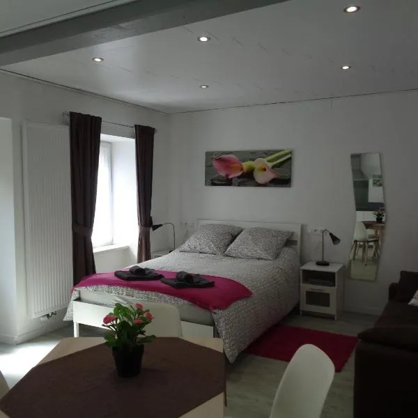 Studio Gite Fischer Ottrott, hotel a Ottrott