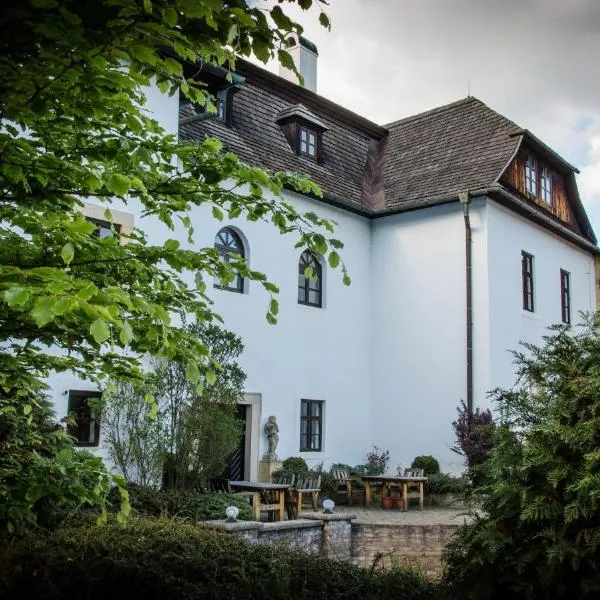 Penzion St. Martin, hotel v destinaci Spišské Podhradie