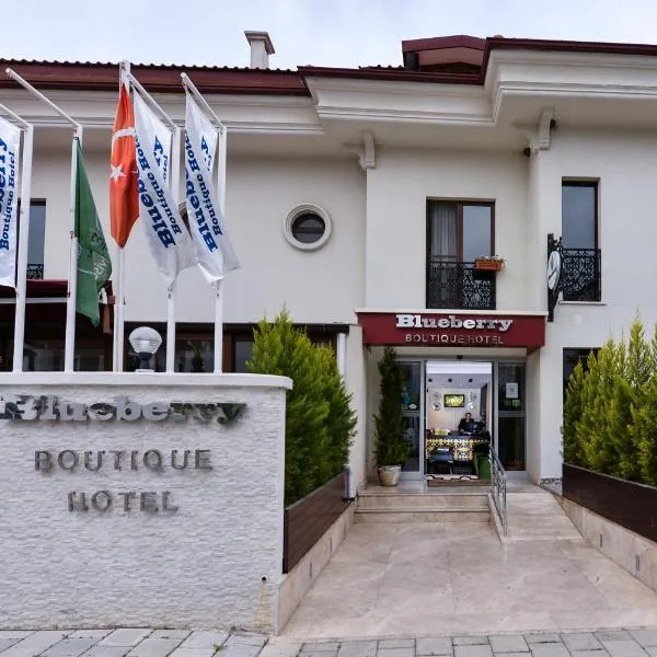 Blueberry Boutique Hotel, hotel v mestu Fethiye