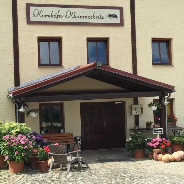 Kornkäfer Kleinmockritz, hotel in Ossig