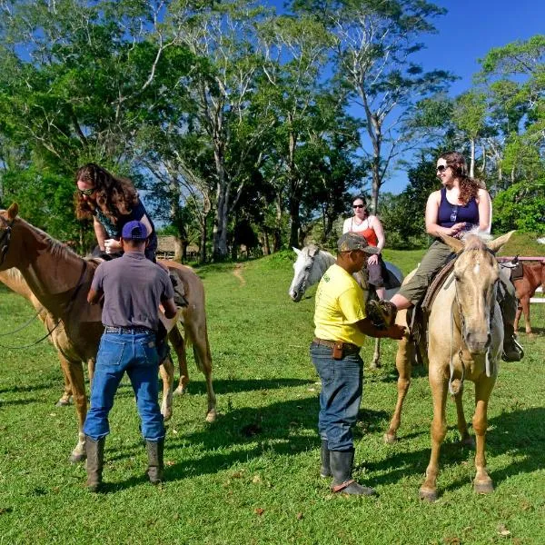 Banana Bank Lodge & Jungle Horseback Adventures, hotel v destinaci Belmopan