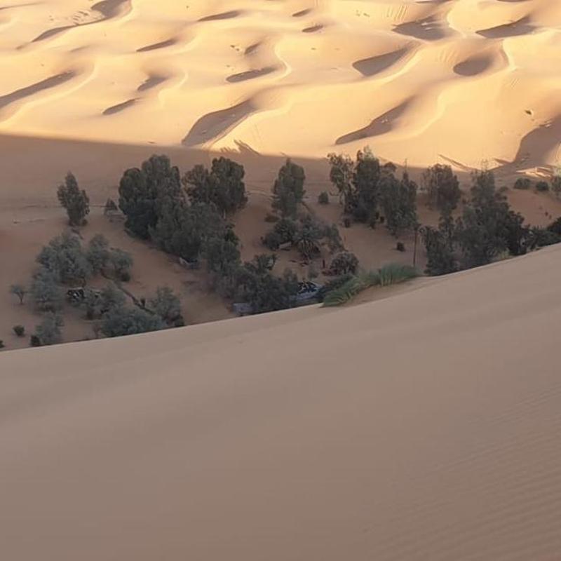Amalouk Desert Trip