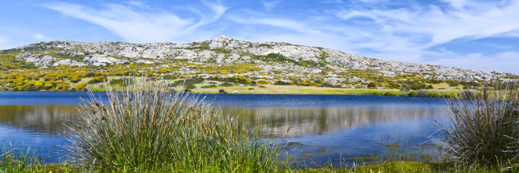 Национальный Парк О. Асинара, Стинтино, Италия: 10 Лучших Отелей.