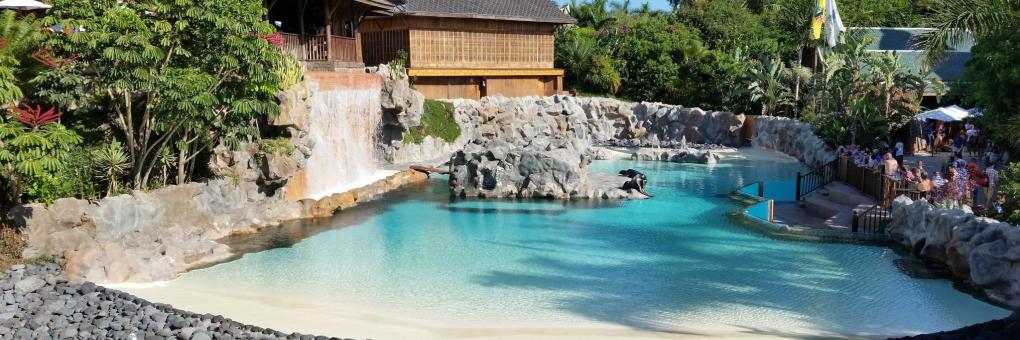 10 najboljših hotelov blizu znamenitosti vodni park Siam Park v mestu Playa  de las Americas, Španija