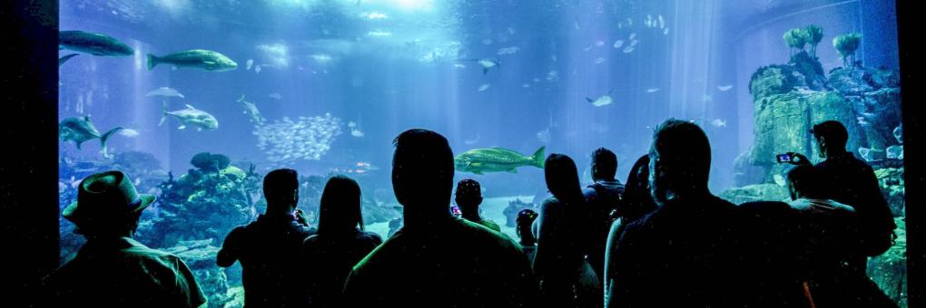 10 najboljih hotela u blizini znamenitosti Akvarij Antalya Aquarium u  Antaliji, Turska