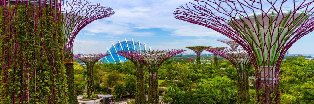Gardens By The Bay In Singapore