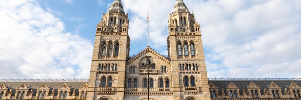 
Hotels near Natural History Museum London, London
