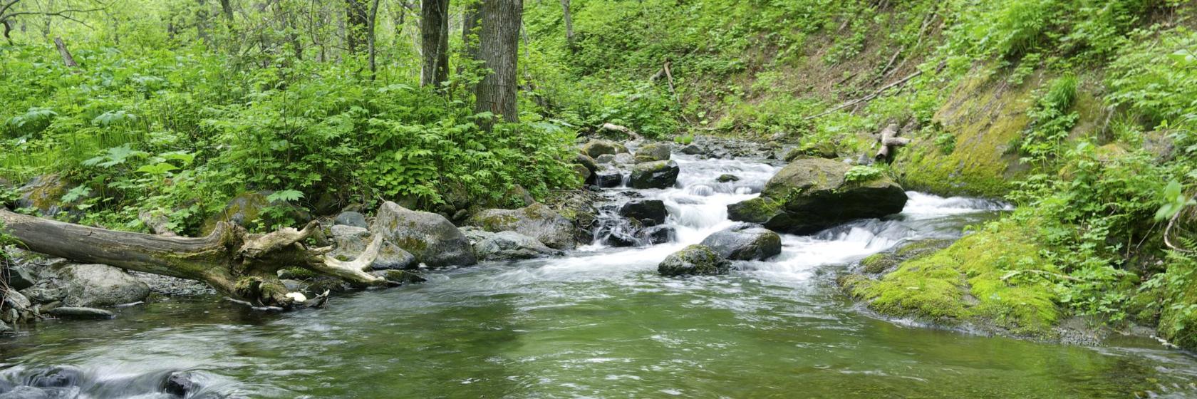 The 10 best hotels near Jones Gap State Park in Flat Rock, United