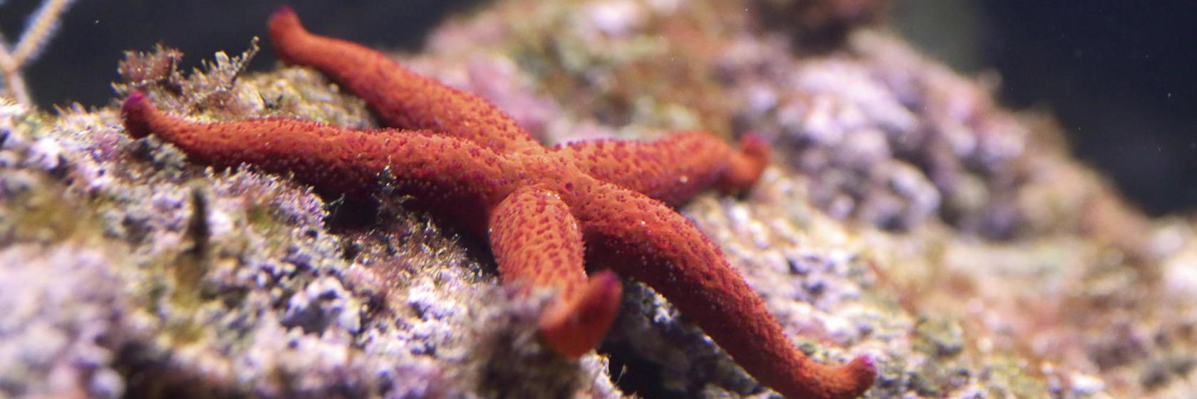 The 10 best hotels near Imaginarium HandsOn Museum & Aquarium‎ in Fort