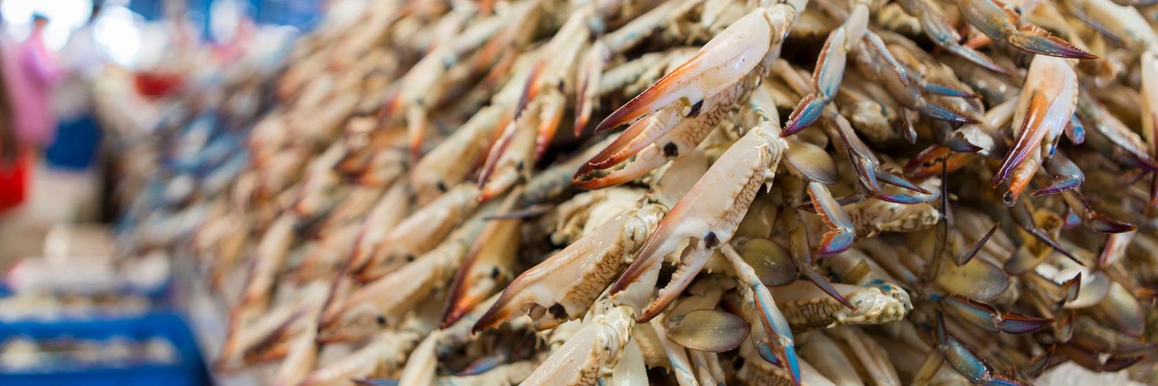 Die 10 besten Hotels in der Nähe von Yanbu Fish Market, in Yanbu