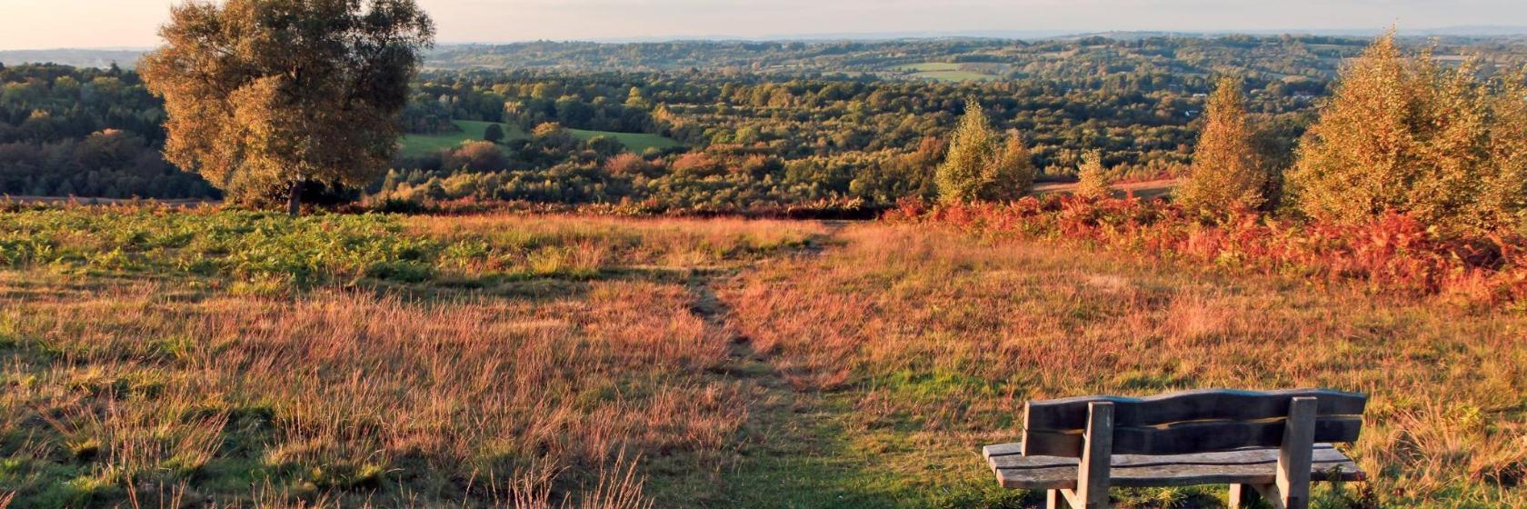 The 10 best hotels close to Ashdown Forest in Forest Row, United Kingdom