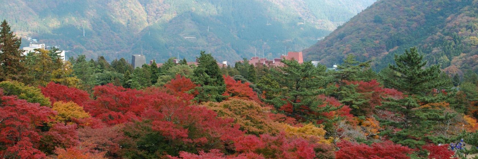 箱根小涌園ユネッサン 日本 箱根町 近くの人気ホテル10軒 箱根小涌園ユネッサン 日本 箱根町 近くの人気ホテル10軒