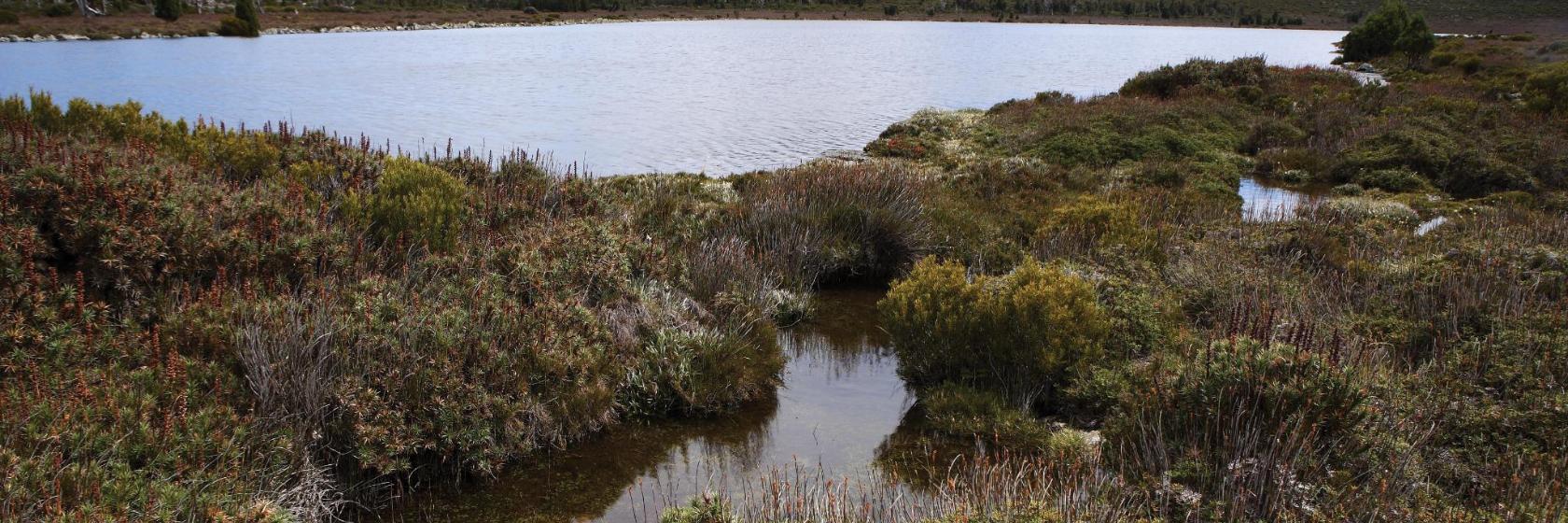 The 10 best hotels near Great Lake Tasmania in Westbury, Australia