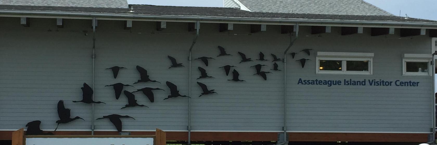 The 10 best hotels near Assateague Island National Seashore in Ocean City, United States of America