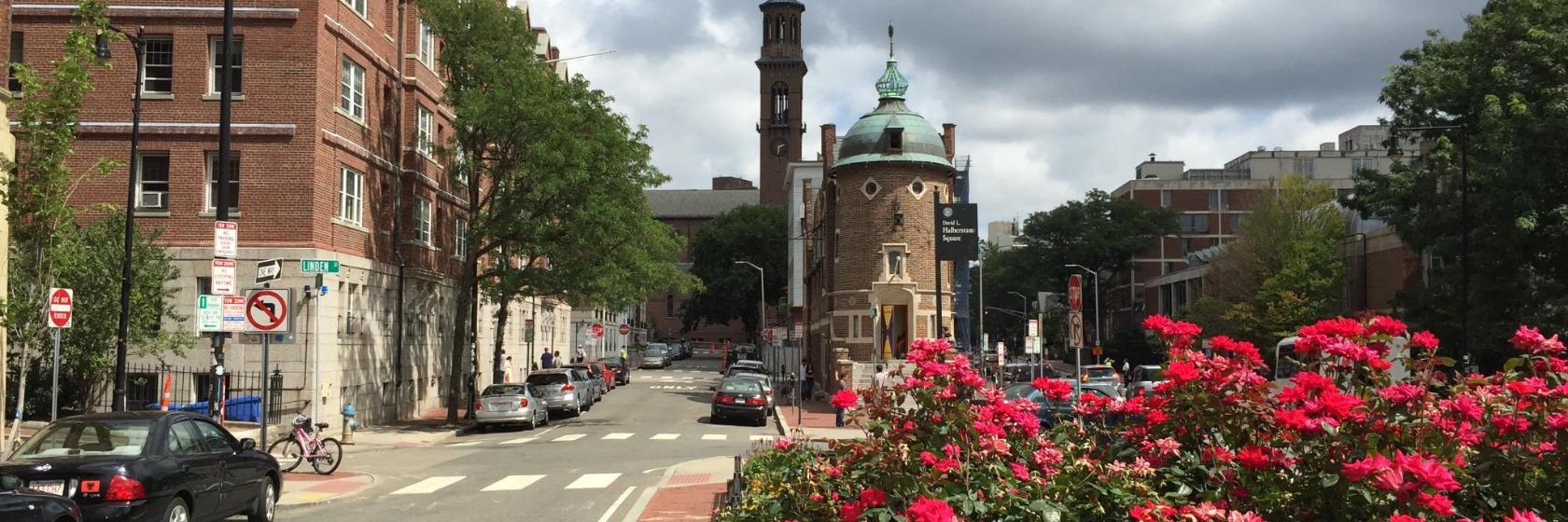 The 10 best hotels near Harvard Square in Cambridge, United States of