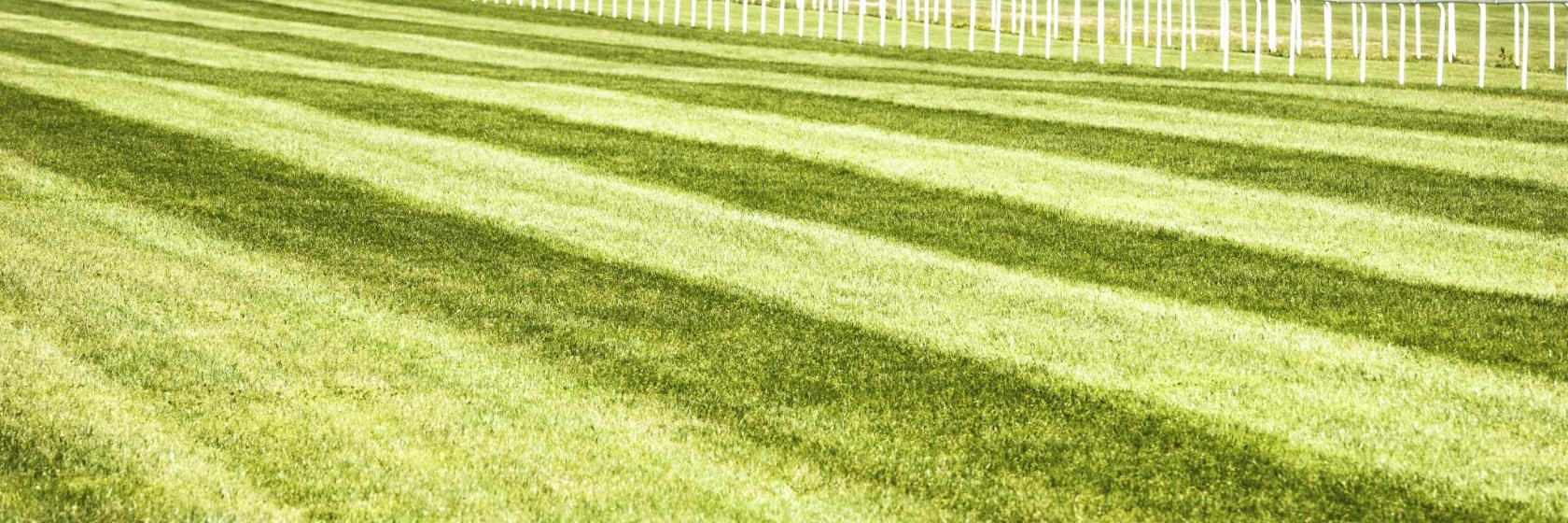チェスター競馬場 イギリス チェスター 近くの人気ホテル10軒 チェスター競馬場 イギリス チェスター 近くの人気ホテル10軒