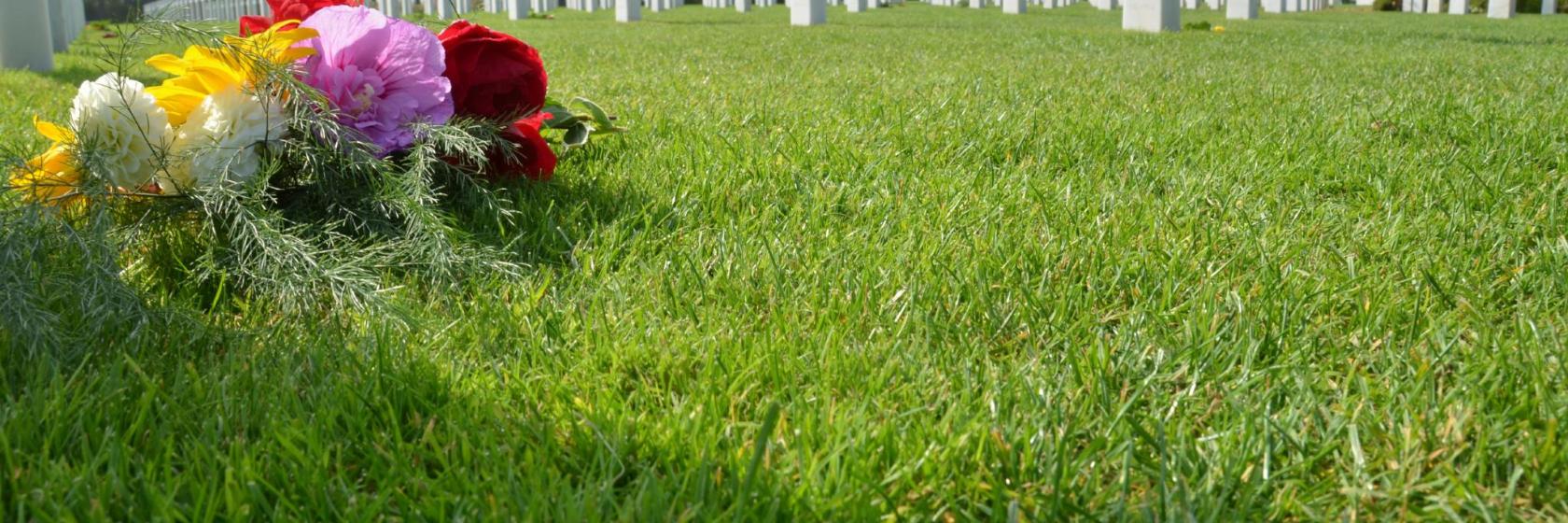 Lawn cemetery casino &