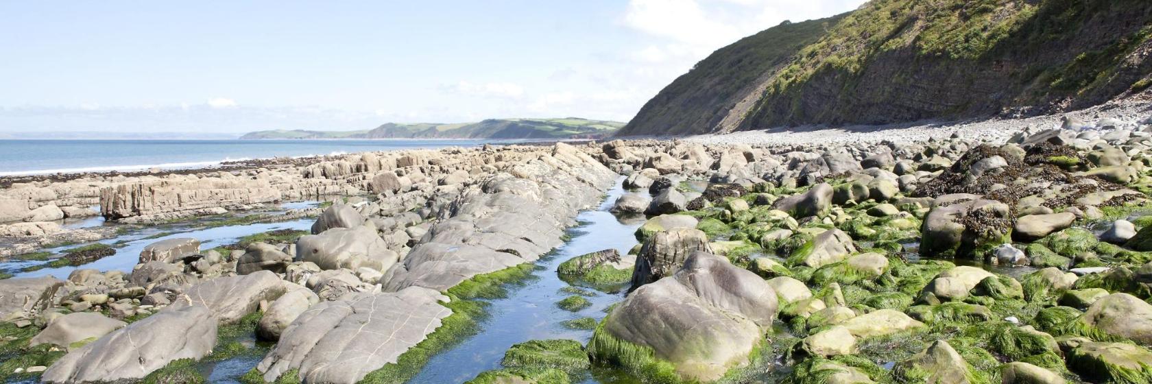 ランディ島 イギリス ビデフォード 近くの人気ホテル10軒