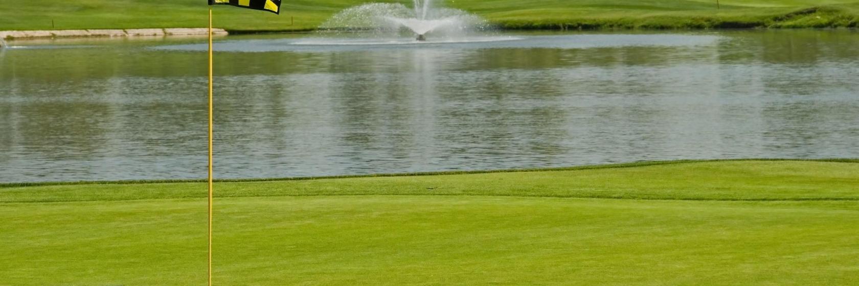 The 10 best hotels near Shadowmoss Plantation Golf Course in Charleston