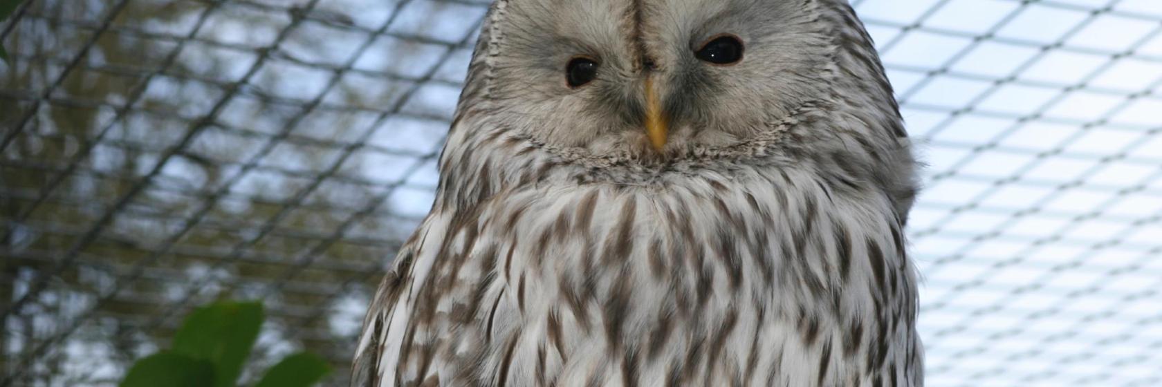 The 10 best hotels near Twycross Zoo in Appleby Magna, United Kingdom