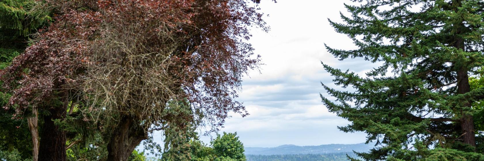 The 10 best hotels near Terwilliger Boulevard Parkway in Portland