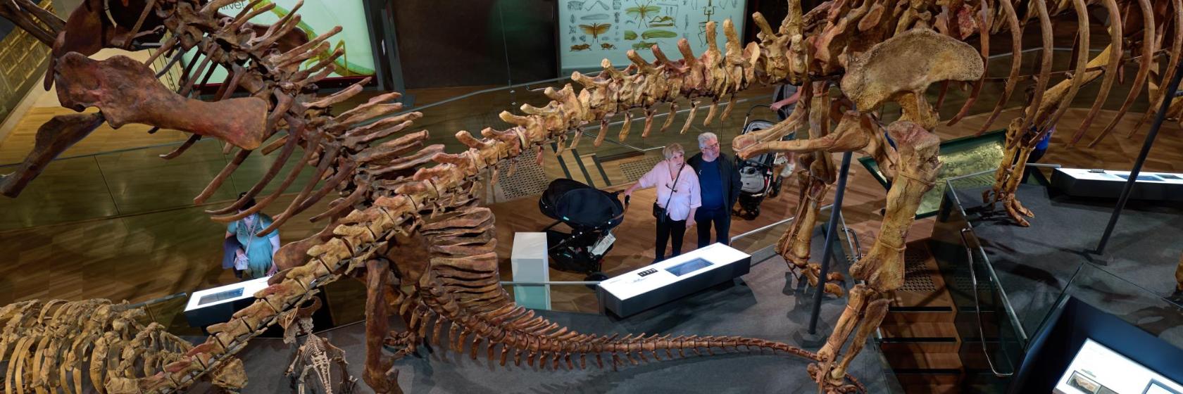 The 10 best hotels near Melbourne Museum in Melbourne, Australia