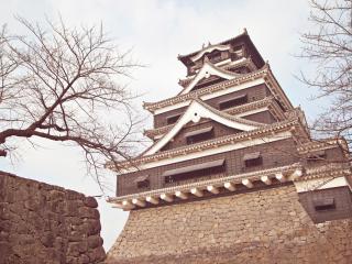 熊本市 日本 の旅 観光 旅行 Booking Com