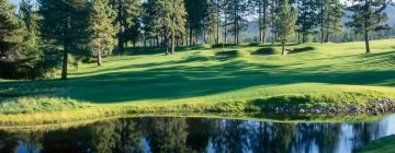 Golfplatz Edgewood Tahoe: Hotels in der Nähe