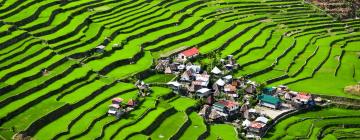 Banaue Pirinç Terasları yakınındaki oteller