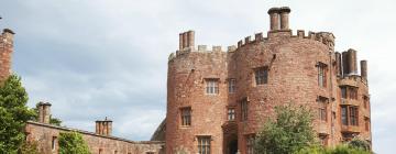 Hotels near Powis Castle