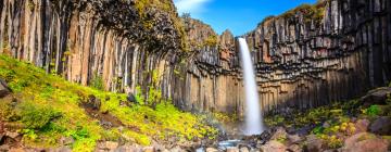 Hoteles cerca de Cascada Svartifoss