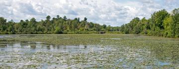 Hoteles cerca de Long Sault Parkway